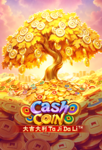 Winbox live dealer casino game preview