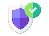 Secure Icon